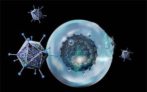 “抗癌利器”療效再提升！賓大研究團(tuán)隊(duì)開發(fā)的免疫療法CAR-T再獲突破