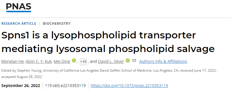 科學家發(fā)現(xiàn)溶酶體中的蛋白質參與循環(huán)細胞膜中重要的脂質成分以保持細胞健康