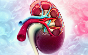 新冠將導(dǎo)致未來出現(xiàn)毀滅性的全民腎衰竭？真相究竟如何