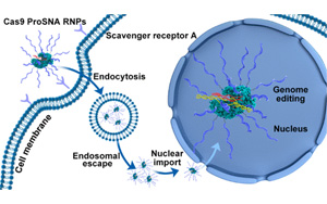 將諾貝爾獎技術(shù)與治療技術(shù)結(jié)合，克服CRISPR一個關(guān)鍵限制