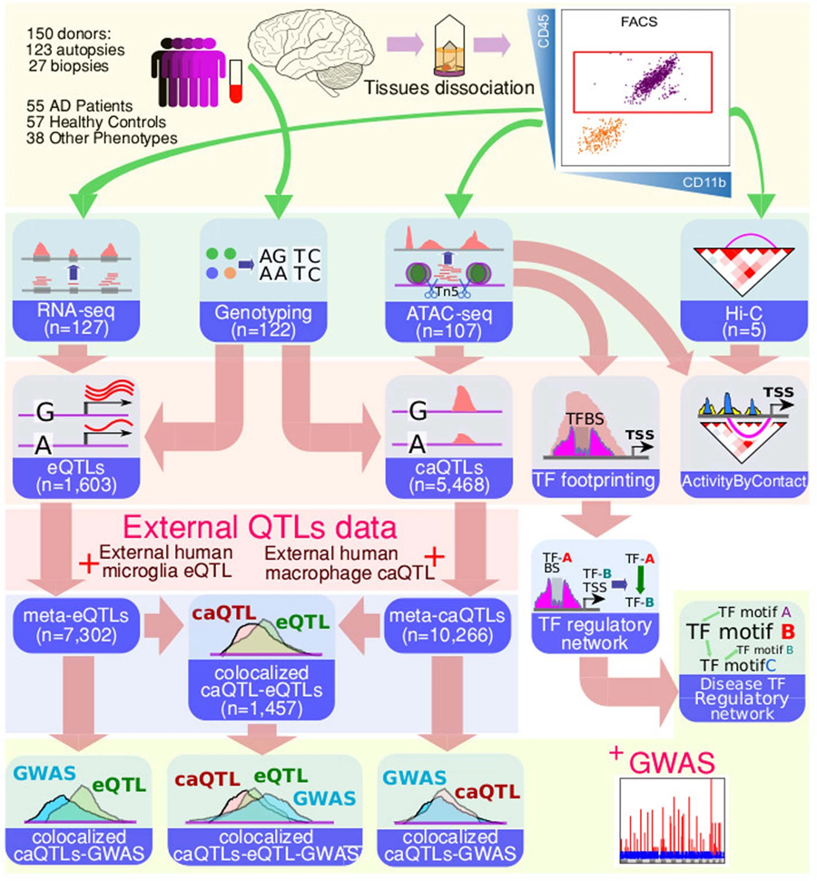 數(shù)據(jù)生成和綜合分析示意圖