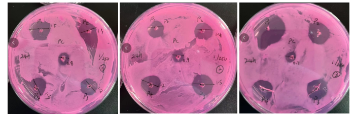 1/250實(shí)驗(yàn)圖片