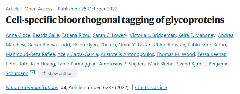 科學(xué)家團隊開發(fā)了新方法可以識別由特定類型的細胞釋放的蛋白質(zhì)