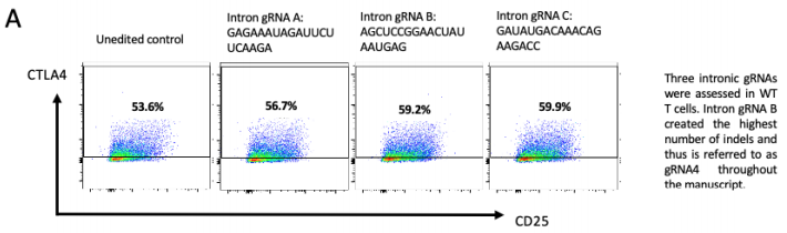 FACs圖示三種不同gRNA靶向基因內(nèi)區(qū)經(jīng)核轉(zhuǎn)染后代表性的正常CTLA-4表面表達(dá) FACs圖示三種不同gRNA靶向基因內(nèi)區(qū)經(jīng)核轉(zhuǎn)染后代表性的正常CTLA-4表面表達(dá)