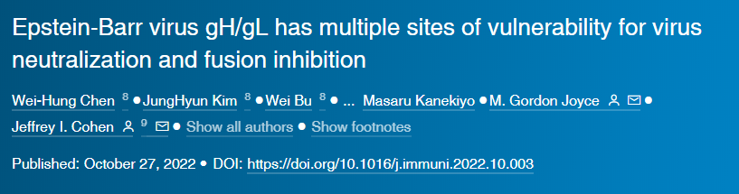 研究人員針對(duì)EB病毒的不同位點(diǎn)開(kāi)發(fā)出一組研究性的單克隆抗體