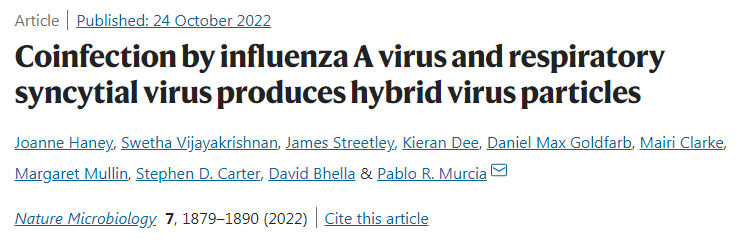 研究發(fā)現(xiàn)兩種常見呼吸道病毒IAV和RSV相互融合形成了一種圈子內的混合病毒