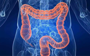 曬太陽真的能防癌？186國數據研究重磅出爐，紫外線照射不足或成結直腸癌潛在致病原因