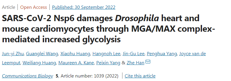 研究人員確定了SARS-CoV-2病毒中的特定蛋白質(zhì)如何損害心臟組織