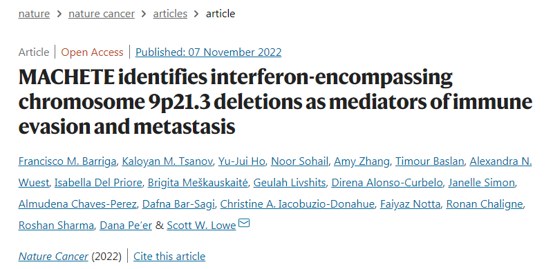 使用MACHETE，研究人員發(fā)現(xiàn)一個(gè)明顯的缺失通常會(huì)消除一組干擾素基因，導(dǎo)致胰腺癌和黑色素瘤小鼠模型的預(yù)后較差
