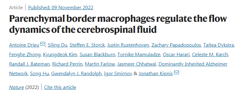 研究人員發(fā)現(xiàn)大腦周圍的免疫細胞會影響廢物從大腦中清除的效率