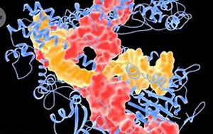 Nature：首次使用CRISPR替代基因治療癌癥患者
