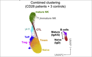 這類人群感染HPV后可能成為“樹人”！Cell揭示CD28缺乏與HPV易感性之間的關系