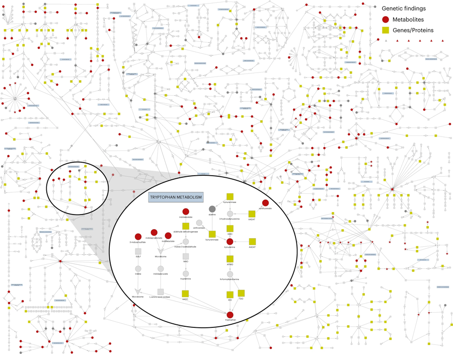 已建立的代謝途徑圖