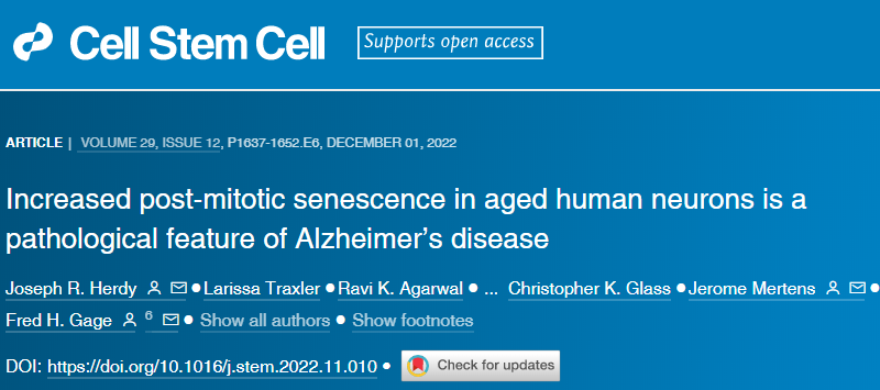 研究人員發(fā)現(xiàn)阿爾茨海默癥患者的神經(jīng)元表現(xiàn)出退化