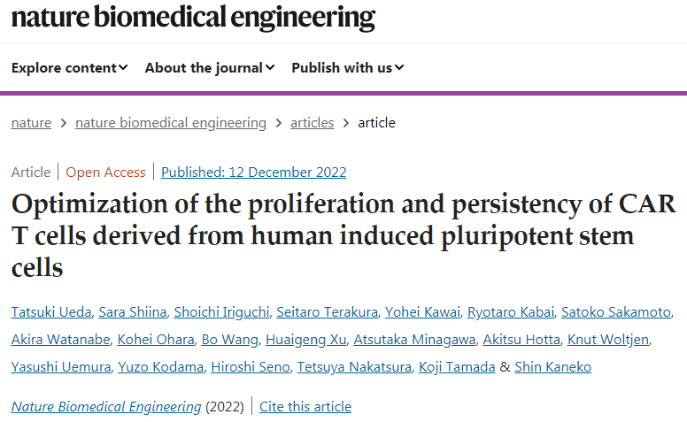 人誘導(dǎo)多能干細(xì)胞CAR T細(xì)胞增殖和持久性的優(yōu)化