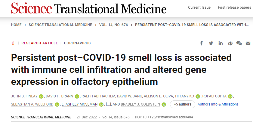 新冠肺炎后無法恢復(fù)嗅覺與免疫系統(tǒng)對嗅覺神經(jīng)細(xì)胞的持續(xù)攻擊以及這些細(xì)胞數(shù)量的相關(guān)下降有關(guān) 新冠肺炎后無法恢復(fù)嗅覺與免疫系統(tǒng)對嗅覺神經(jīng)細(xì)胞的持續(xù)攻擊以及這些細(xì)胞數(shù)量的相關(guān)下降有關(guān)