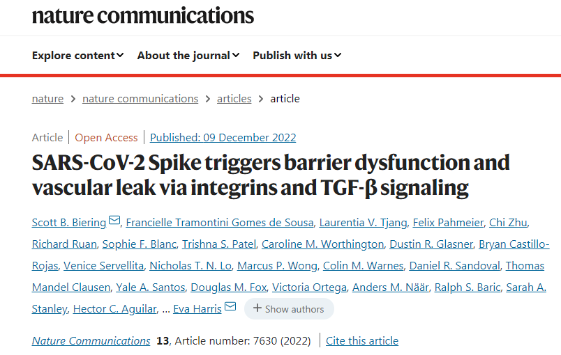 SARS-CoV-2病毒產(chǎn)生的病毒毒素可能會(huì)導(dǎo)致嚴(yán)重的COVID-19感染