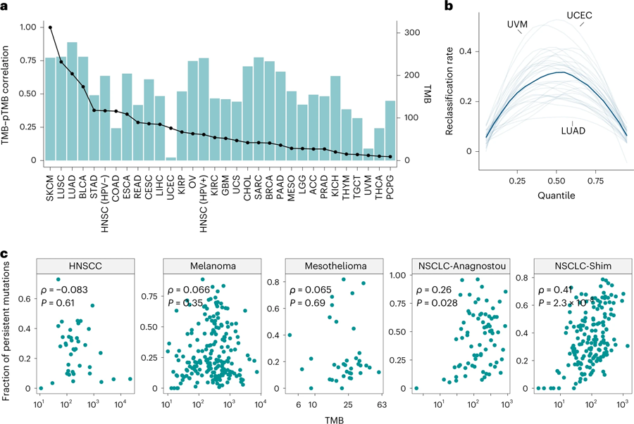 持久性突變含與TMB之間的相關性評估 持久性突變含與TMB之間的相關性評估