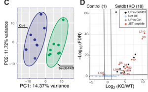 Science Immunology兩篇重要論文：解決癌癥免疫領(lǐng)域長期面臨的挑戰(zhàn)