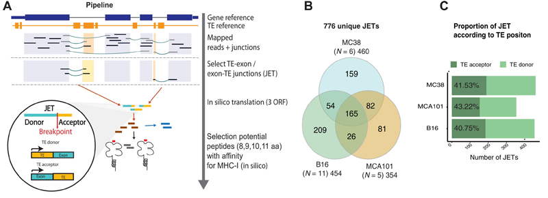 外顯子和TE(JET)之間連接的組織和腫瘤特異性表達(dá) 外顯子和TE(JET)之間連接的組織和腫瘤特異性表達(dá)