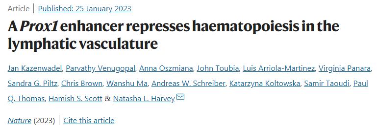 科學(xué)家發(fā)現(xiàn)淋巴管可以產(chǎn)生紅細(xì)胞和白細(xì)胞 科學(xué)家發(fā)現(xiàn)淋巴管可以產(chǎn)生紅細(xì)胞和白細(xì)胞