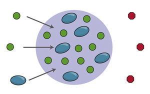 Cell新論文：基因調(diào)控關(guān)鍵機制
