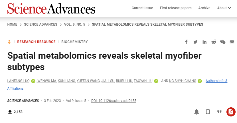 科學(xué)家們首次在小鼠腿上發(fā)現(xiàn)了一種新的超快2B型肌纖維亞型 科學(xué)家們首次在小鼠腿上發(fā)現(xiàn)了一種新的超快2B型肌纖維亞型