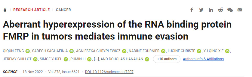 一種蛋白質(zhì)在幫助腫瘤逃脫免疫損傷方面起著關鍵作用 一種蛋白質(zhì)在幫助腫瘤逃脫免疫損傷方面起著關鍵作用