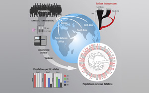 為什么我們對(duì)新冠等疾病的反應(yīng)不同？Immunity發(fā)現(xiàn)人與人之間T細(xì)胞受體基因存在很大差異