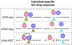 舊藥可新用！Cell子刊揭示糖皮質(zhì)激素藥物相關(guān)副作用的遺傳位點(diǎn)