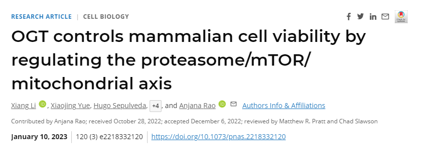 研究人員終于發(fā)現(xiàn)了一種名為O-GlcNAc轉(zhuǎn)移酶(OGT)的酶在維持細(xì)胞健康中的作用 研究人員終于發(fā)現(xiàn)了一種名為O-GlcNAc轉(zhuǎn)移酶(OGT)的酶在維持細(xì)胞健康中的作用