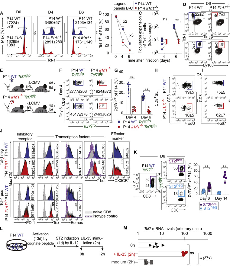 IL-33信號傳導促進CD8+T細胞Tcf-1表達 IL-33信號傳導促進CD8+T細胞Tcf-1表達