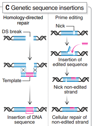 引導(dǎo)編輯的原理 引導(dǎo)編輯的原理