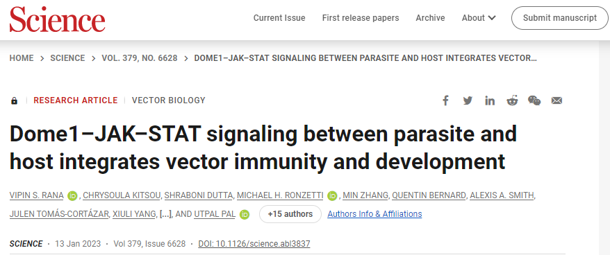 研究人員發(fā)現(xiàn)了宿主和節(jié)肢動(dòng)物寄生蟲(chóng)之間的第一個(gè)物種間信號(hào)通路 研究人員發(fā)現(xiàn)了宿主和節(jié)肢動(dòng)物寄生蟲(chóng)之間的第一個(gè)物種間信號(hào)通路