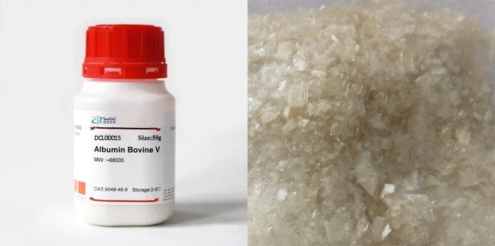 牛血清白蛋白，BSA，第五組分
