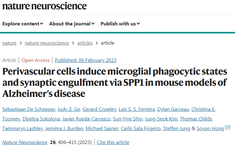 研究人員揭示了小膠質(zhì)細(xì)胞和鄰近的血管周圍巨噬細(xì)胞之間前所未有的通信 研究人員揭示了小膠質(zhì)細(xì)胞和鄰近的血管周圍巨噬細(xì)胞之間前所未有的通信