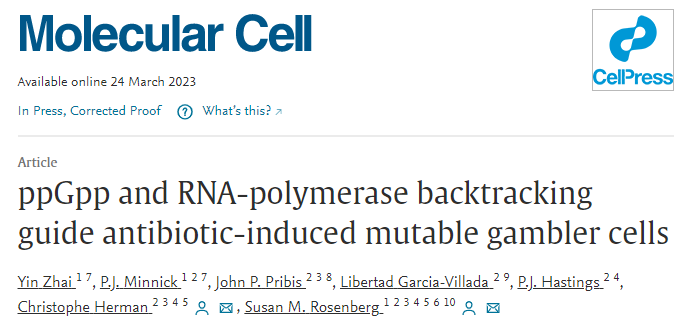 貝勒醫(yī)學(xué)院研究人員在分子水平上研究導(dǎo)致抗生素耐藥性的過(guò)程 貝勒醫(yī)學(xué)院研究人員在分子水平上研究導(dǎo)致抗生素耐藥性的過(guò)程