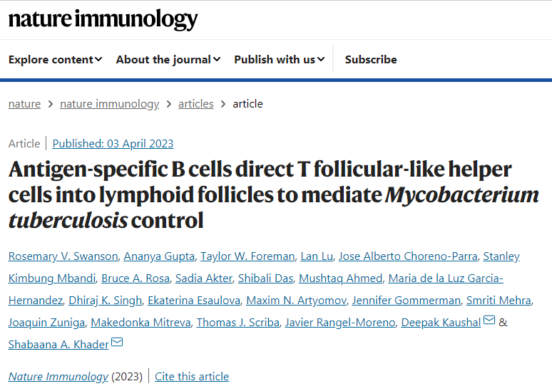 芝加哥大學(xué)和圣路易斯華盛頓大學(xué)的科學(xué)家們表明免疫細胞B細胞在免疫過程中的作用 芝加哥大學(xué)和圣路易斯華盛頓大學(xué)的科學(xué)家們表明免疫細胞B細胞在免疫過程中的作用