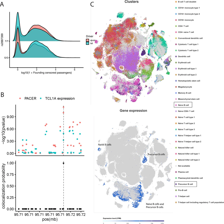 GWAS顯示rs2887399是克隆擴增速率的調(diào)節(jié)劑 GWAS顯示rs2887399是克隆擴增速率的調(diào)節(jié)劑