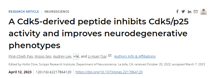 研究發(fā)現(xiàn)通過(guò)干擾阿爾茨海默病患者大腦中通常過(guò)度活躍的一種酶來(lái)逆轉(zhuǎn)神經(jīng)退行性變 研究發(fā)現(xiàn)通過(guò)干擾阿爾茨海默病患者大腦中通常過(guò)度活躍的一種酶來(lái)逆轉(zhuǎn)神經(jīng)退行性變