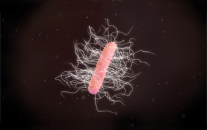 艱難梭菌免疫檢測(cè)相關(guān)抗原抗體