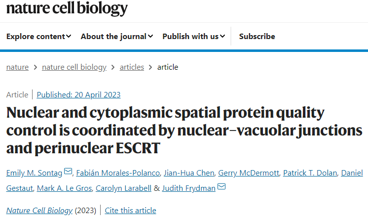 研究人員發(fā)現(xiàn)了一種細(xì)胞途徑可以清除細(xì)胞核中錯誤折疊的蛋白質(zhì) 研究人員發(fā)現(xiàn)了一種細(xì)胞途徑可以清除細(xì)胞核中錯誤折疊的蛋白質(zhì)