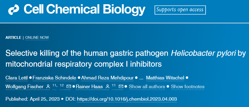 LMU的研究人員發(fā)現(xiàn)了幽門(mén)螺桿菌的一個(gè)弱點(diǎn)，可以用來(lái)開(kāi)發(fā)新藥