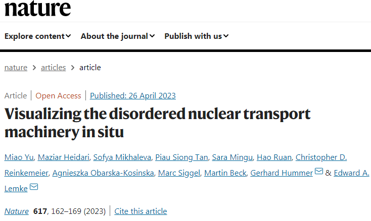 科學(xué)家們發(fā)現(xiàn)毛孔中心的內(nèi)在無序蛋白質(zhì)是如何形成移動屏障 科學(xué)家們發(fā)現(xiàn)毛孔中心的內(nèi)在無序蛋白質(zhì)是如何形成移動屏障