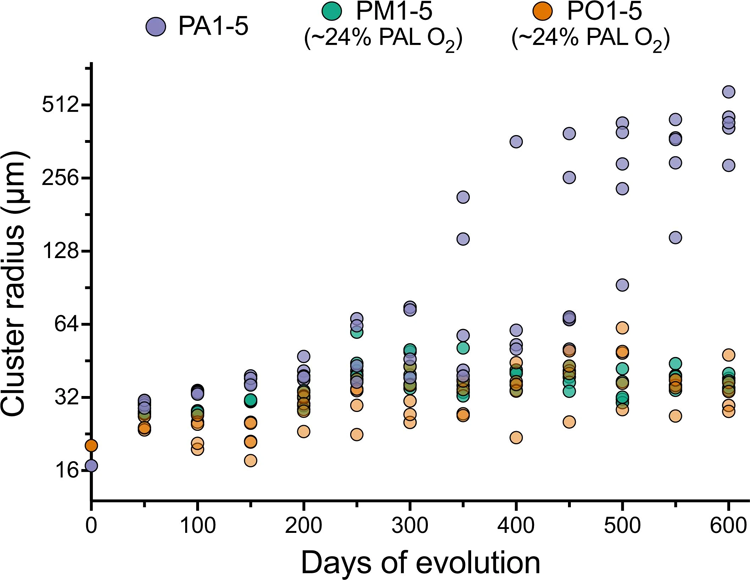 每個(gè)群體和治療組的大小演變的時(shí)間動(dòng)力學(xué)