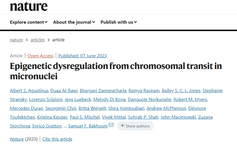 表觀遺傳改變改變細(xì)胞中基因的開啟或關(guān)閉，但不改變細(xì)胞的DNA