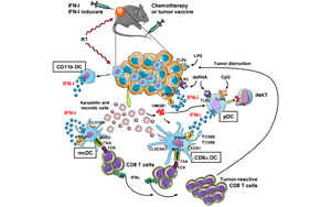 Science | 重要發(fā)現(xiàn)！斯坦福大學(xué)巧妙改造皮膚細(xì)菌，激活免疫助力抗癌