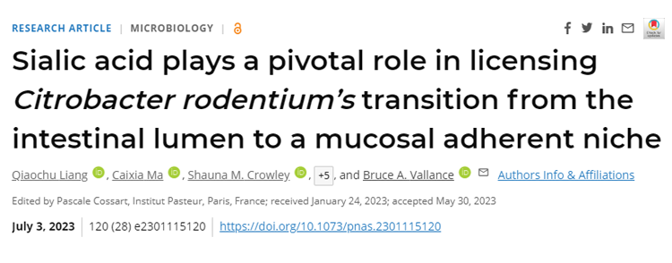 研究表明，腸道細菌感染和一系列與腸道細菌有關(guān)的慢性疾病都有可能成為治療目標