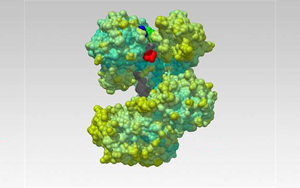 Nature解開一種蛋白質(zhì)，研發(fā)一種新的生物技術工具