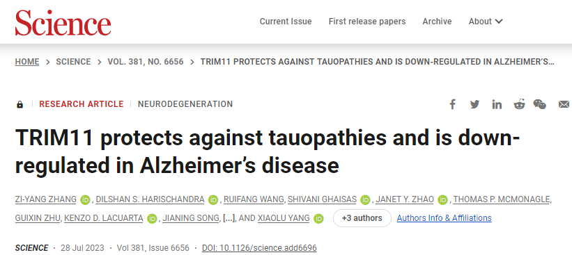 使用堿基編輯技術(shù)生成嵌合抗原受體(CAR) T細(xì)胞 使用堿基編輯技術(shù)生成嵌合抗原受體(CAR) T細(xì)胞